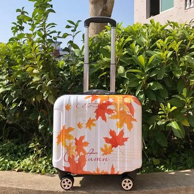 18Inch Universal Wheel Boarding Box,Stylish And Convenient Trolley Case,Password Rolling Box,Pc