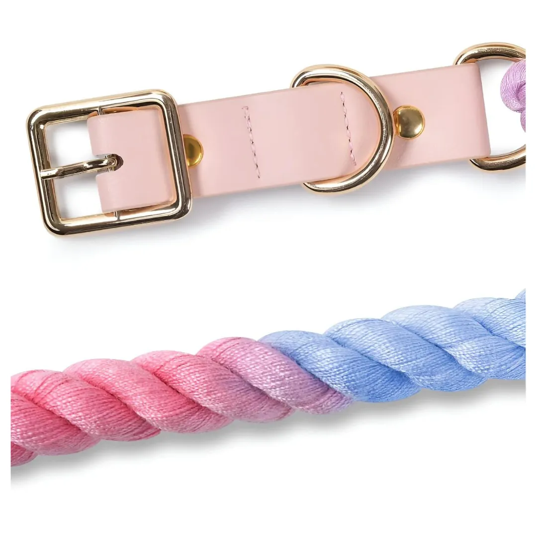 Cheerhunting Dog Colorful Dog Collar & Leash