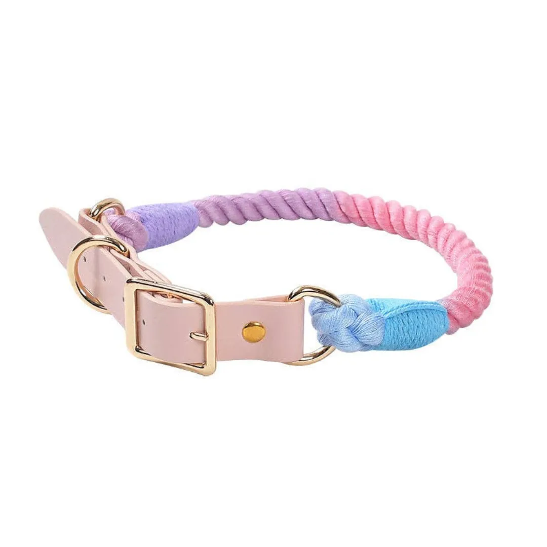 Cheerhunting Dog Colorful Dog Collar & Leash