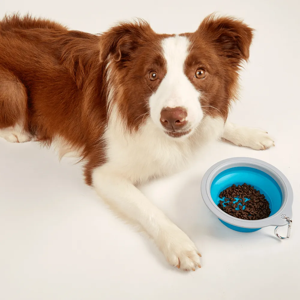 Fofos Collapsible Bowl for Dogs (Blue)